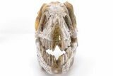 Carved Pietersite and Quartz Crystal Dinosaur Skull #199472-4